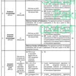 Jobs in Shaheed Zulfiqar Ali Bhutto University of Law