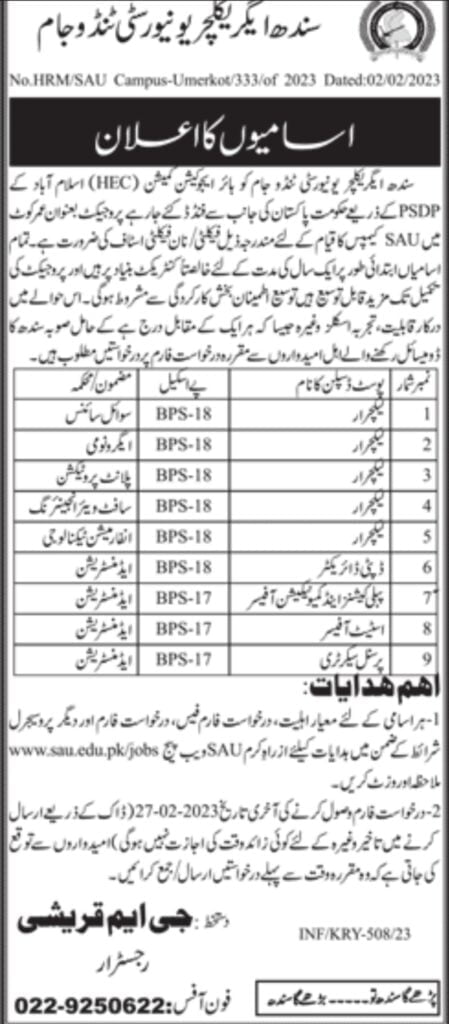 Jobs in Sindh Agriculture University Tando Jam (Jang)