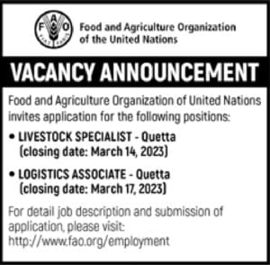 JOBS IN FOOD AND AGRICULTURE ORGANIZATION OF THE UNITED NATIONS IN QUEETA 2023